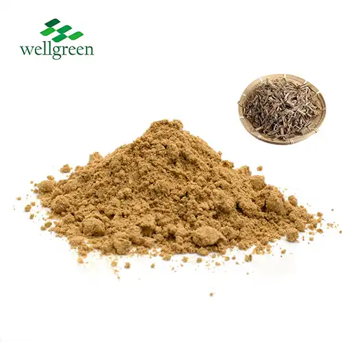 Plectranthus Amboinicus Extract